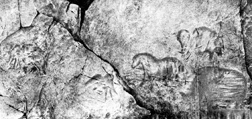 Изображения животных в Каповой пещере