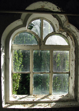 Вид из окна бывшей синагоги в 2009 году. Источник  petrowsky.livejournal.com