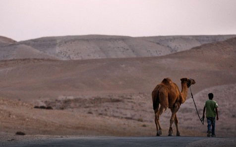 Бедуин нашел в Иордании древнейшие христианские книги. Фото: AP Photo/Kevin Frayer