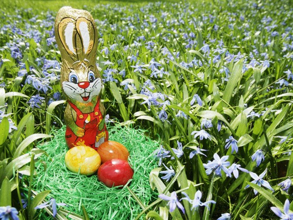 Пасхальный кролик и шоколадные яйца. Фото с сайта: zastavki.com