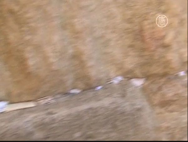 Стену Плача очищают накануне еврейского праздника