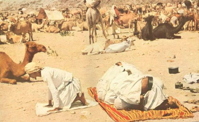 Паломники молятся возле своих верблюдов