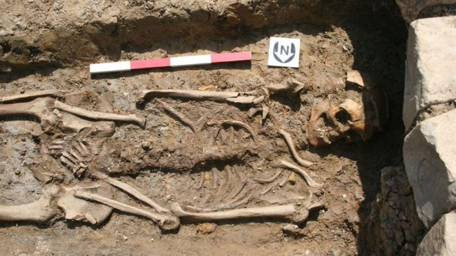 Скелет относится к V – началу VI века