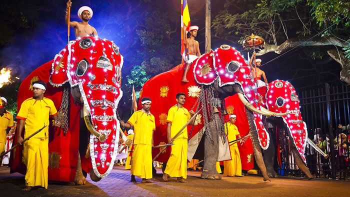 Шествие слонов с зубом Будды проходит на Шри-Ланке